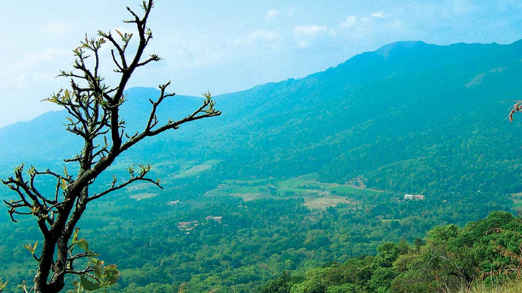 Day 05: Wayanad